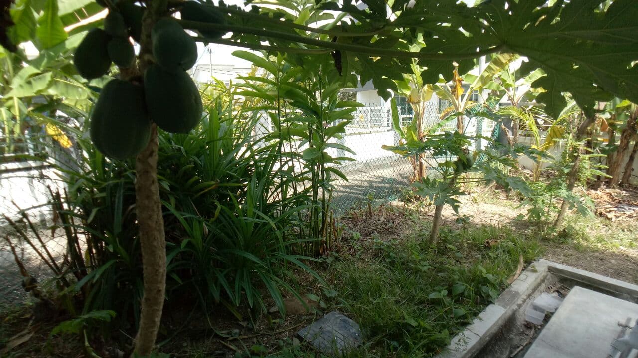 END LOT 2 Storey Pine 1 Hillpark Puncak Alam - photo 10
