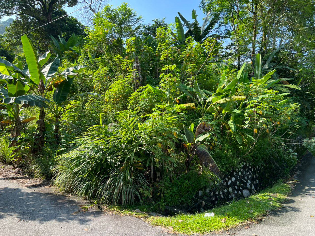 CORNER LOT Bungalow Land Kampung Sungai Penchala - photo 3