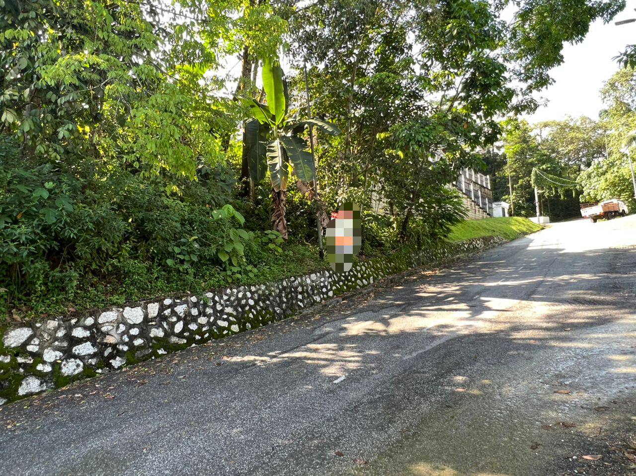 CORNER LOT Bungalow Land Kampung Sungai Penchala - photo 4