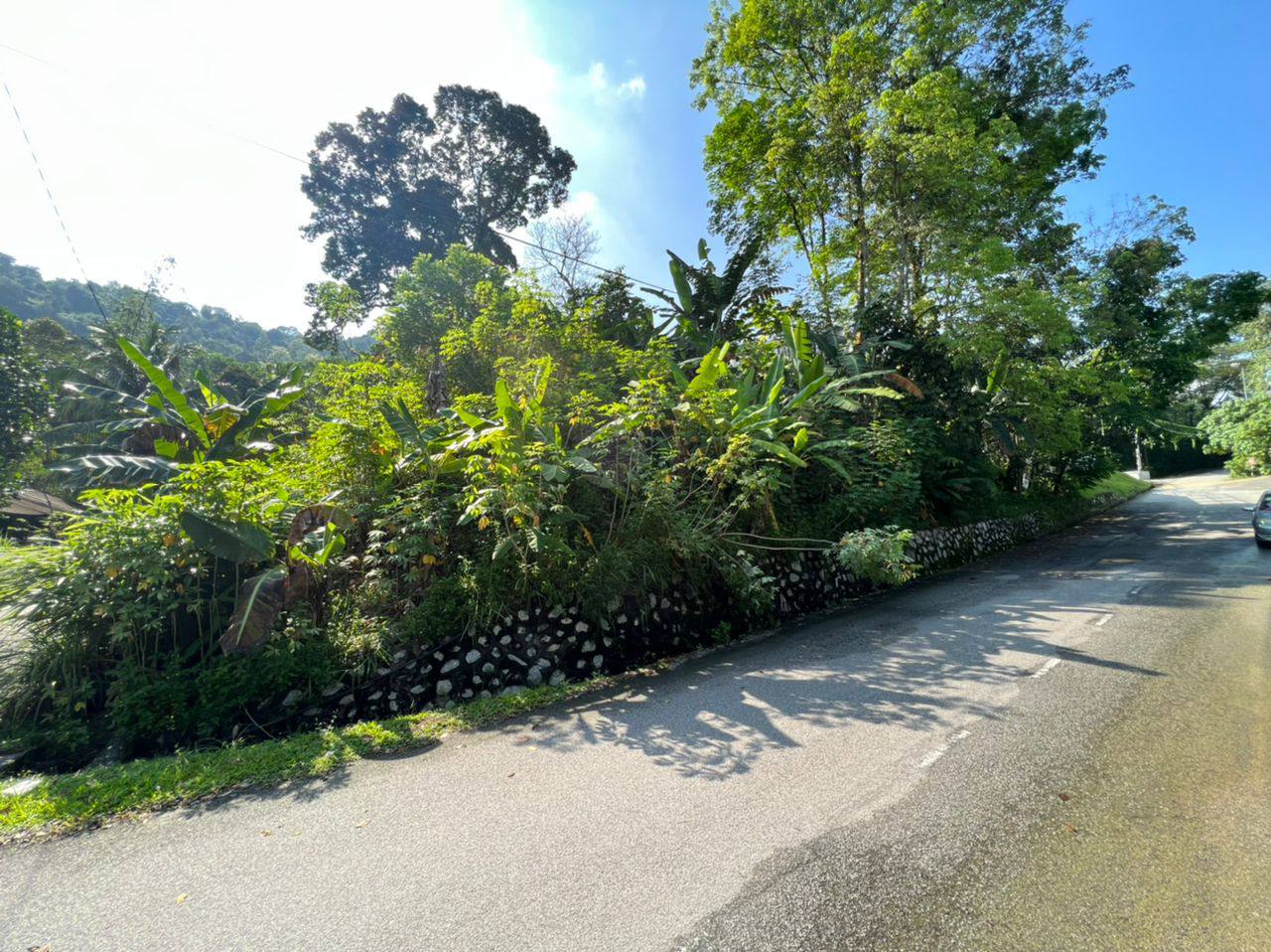 CORNER LOT Bungalow Land Kampung Sungai Penchala - photo 6
