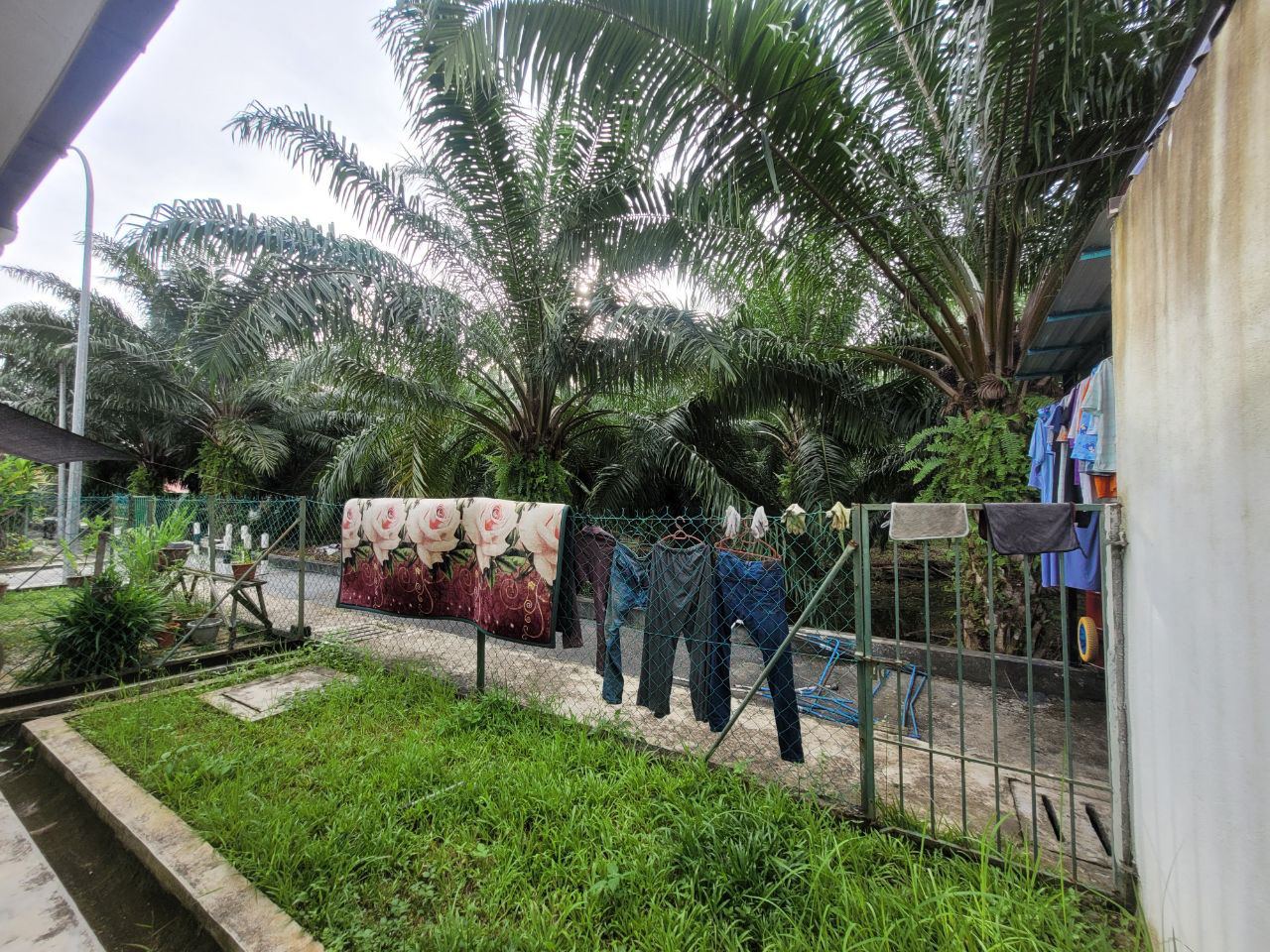 Single Storey Terrace Taman Jalan Ruyung, Kapar - photo 13
