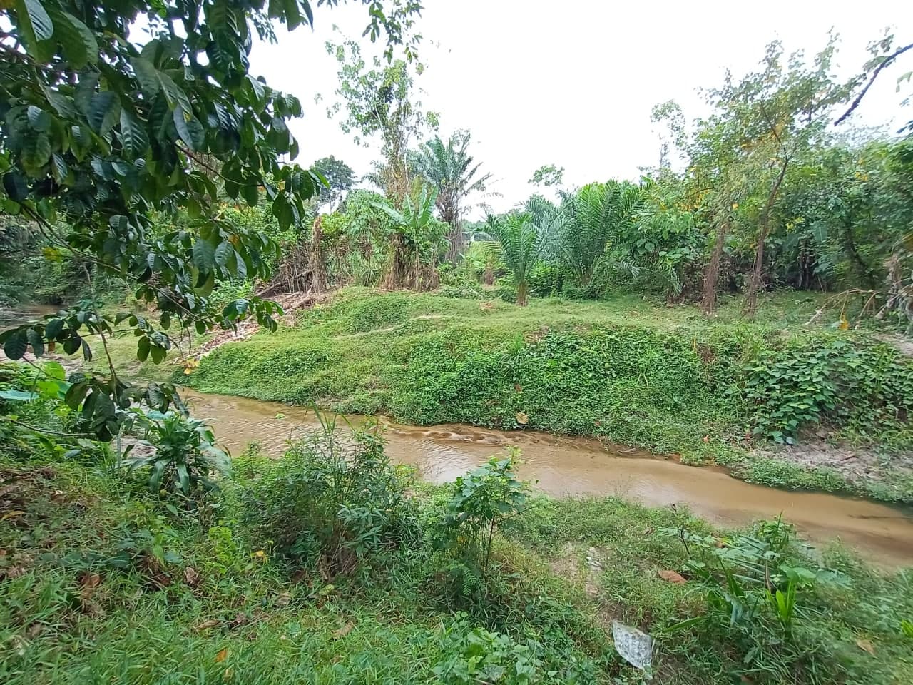 Tanah Kebun Tepi Sungai Machang Lenggeng - photo 2