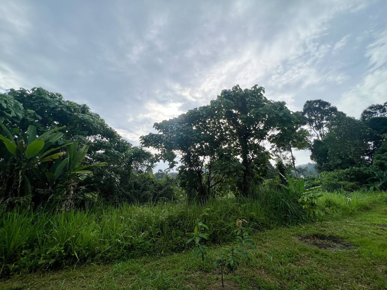 Bungalow Lot Taman Permai Jaya, Batu 9 Gombak - photo 2