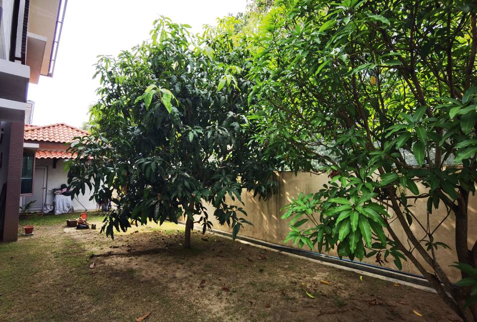 2Storey Bungalow Banyan Close Bandar Bukit Mahkota - photo 8