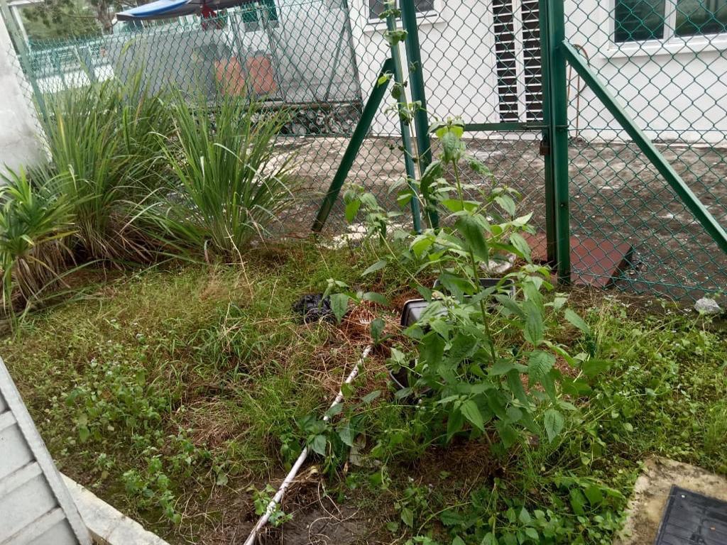 Rafflesia Taman Pelangi Semenyih 2, Semenyih - photo 5
