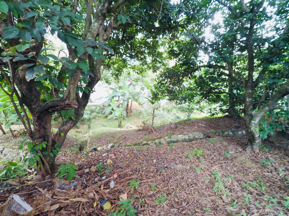 SINGLE STOREY BUNGALOW SEKSYEN 2 BANDAR BARU BANGI - photo 9
