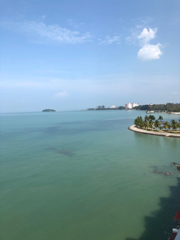 CORUS PARADISE, Port Dicksom - photo 11