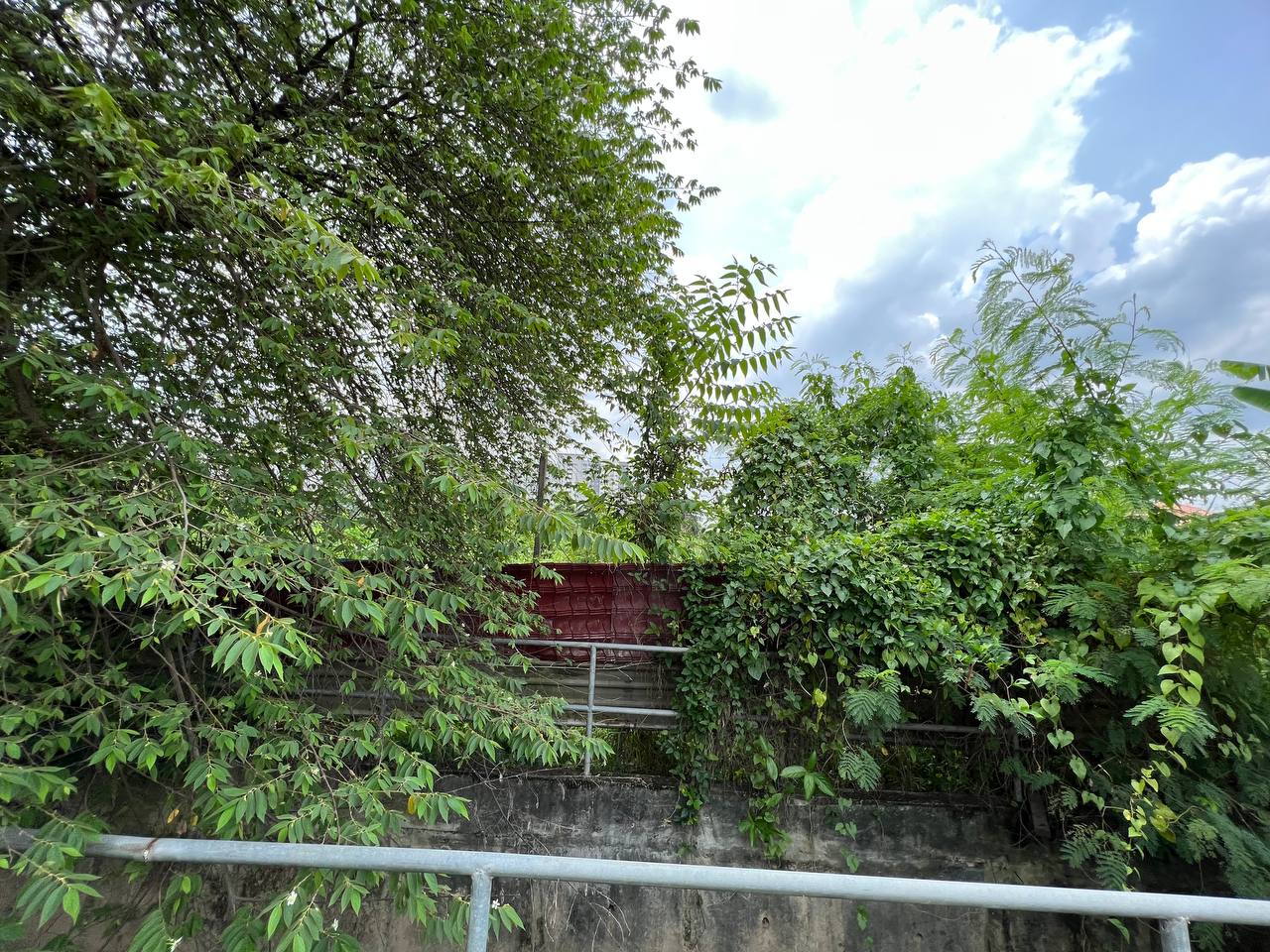 Tanah Pembangunan KG Kuala Sungai Baru - photo 7