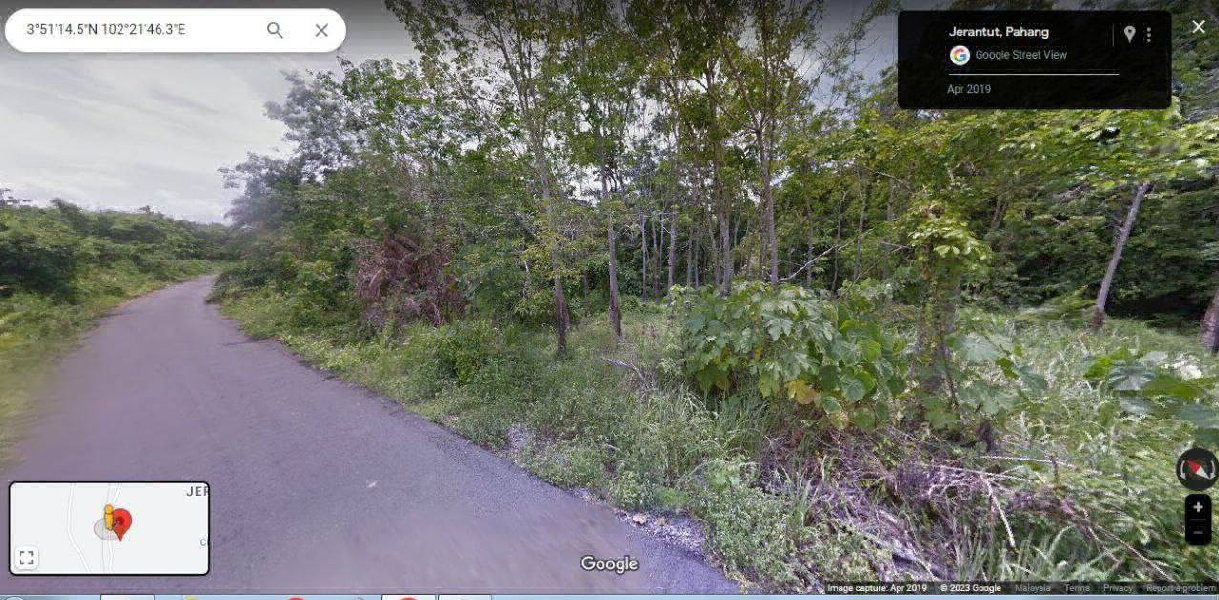 Tanah Pertanian @ Kampung Tebing Tinggi - photo 1