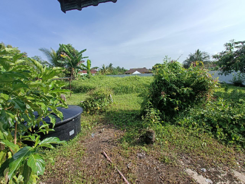 TERES SETINGKAT @ KEMPADANG MAKMUR, KUANTAN  - photo 10