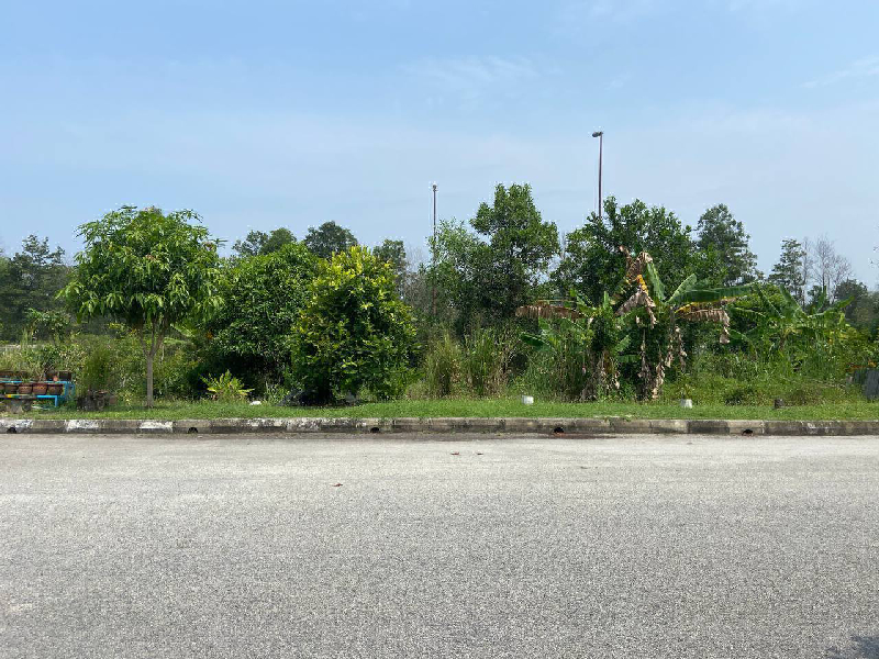 TERES SETINGKAT @ TAMAN PANDAN MAKMUR, KUANTAN  - photo 3