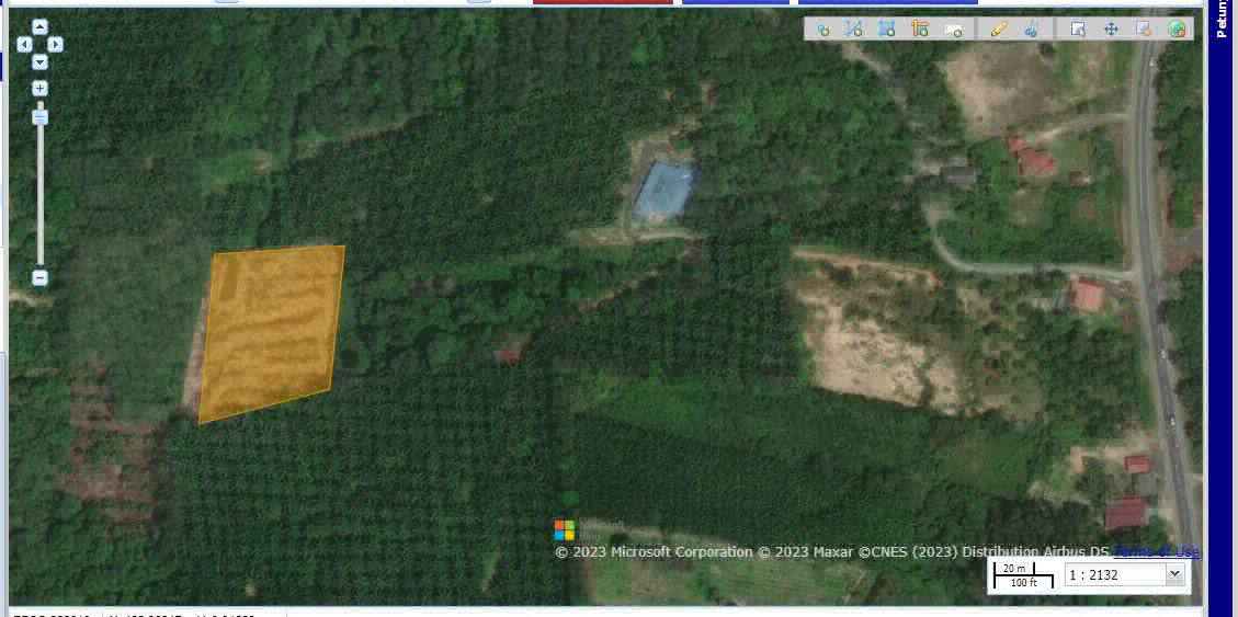 TANAH TANAMAN SAWIT @ KAMPUNG BUKIT DINDING, JERANTUT - photo 3