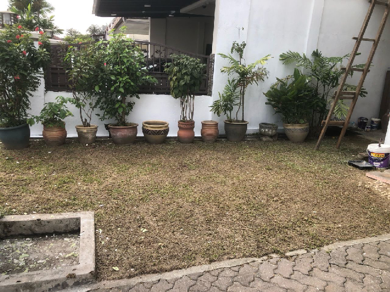 Double Storey Terrace House USJ 3, Subang Jaya - Huge Extra Land - photo 4