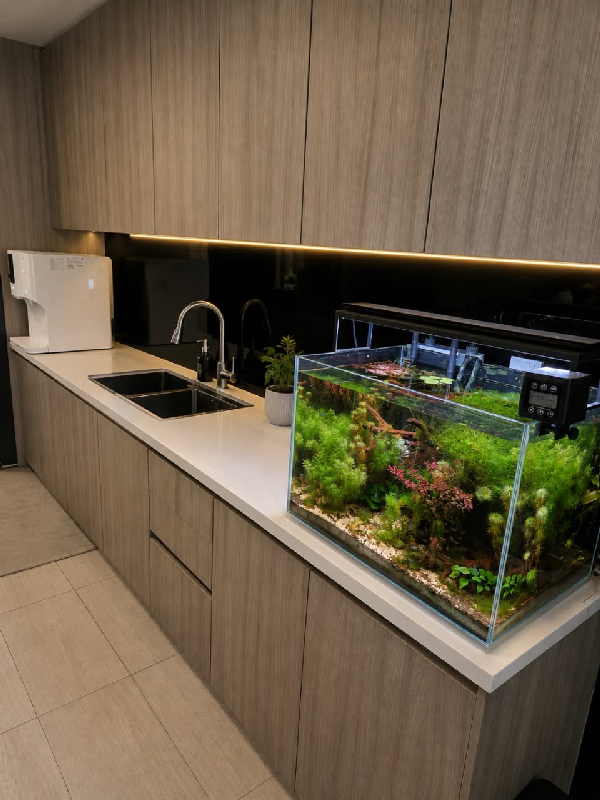 FOR RENT | FULLY FURNISHED LAKEFRONT RESIDENCECYBERJAYA - photo 8