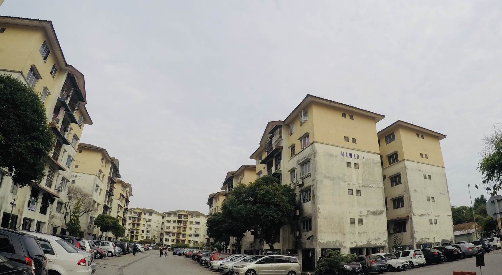 Gugusan Mawar Kota Damansara - photo 2