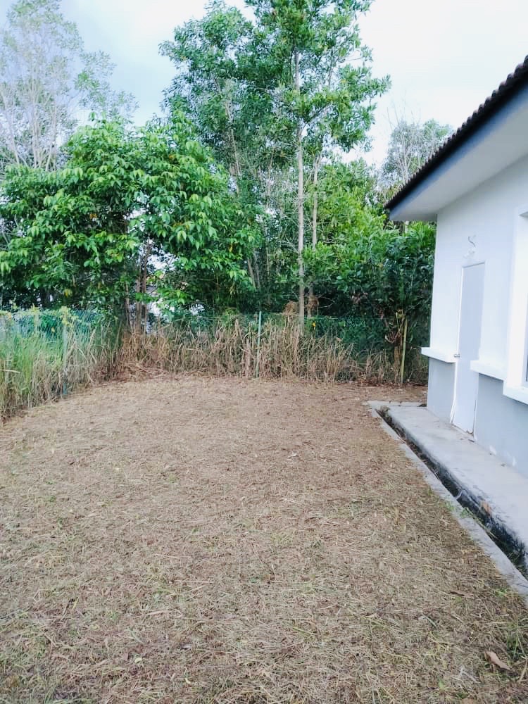 Single Sty Bungalow Bandar Tasik Senangin Lenggeng - photo 8