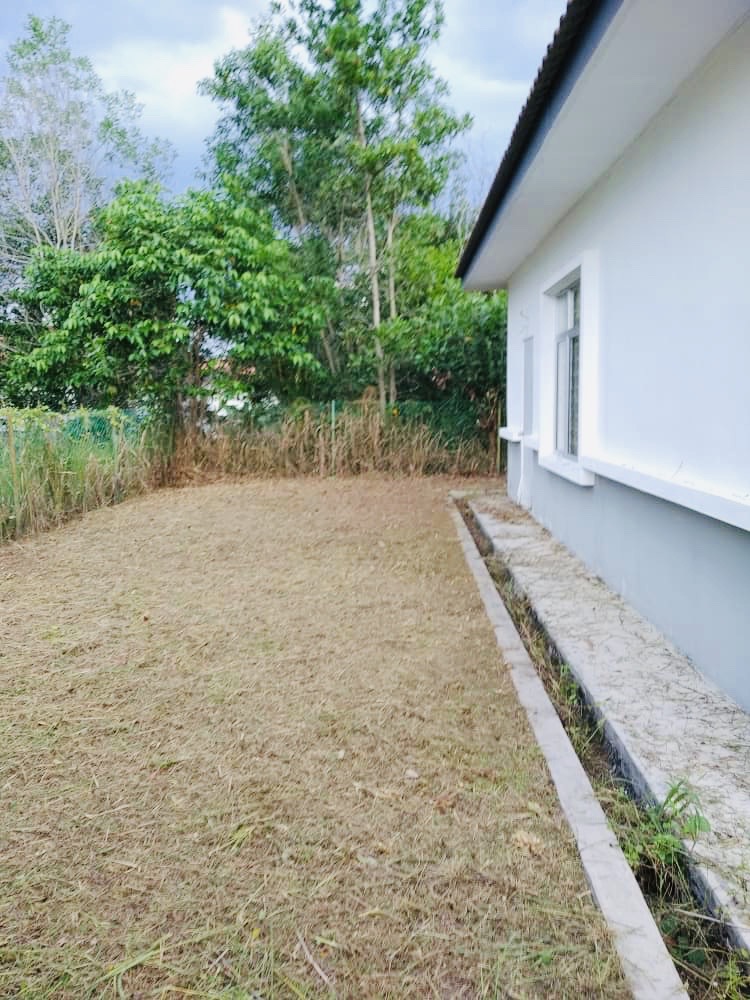 Single Sty Bungalow Bandar Tasik Senangin Lenggeng - photo 5