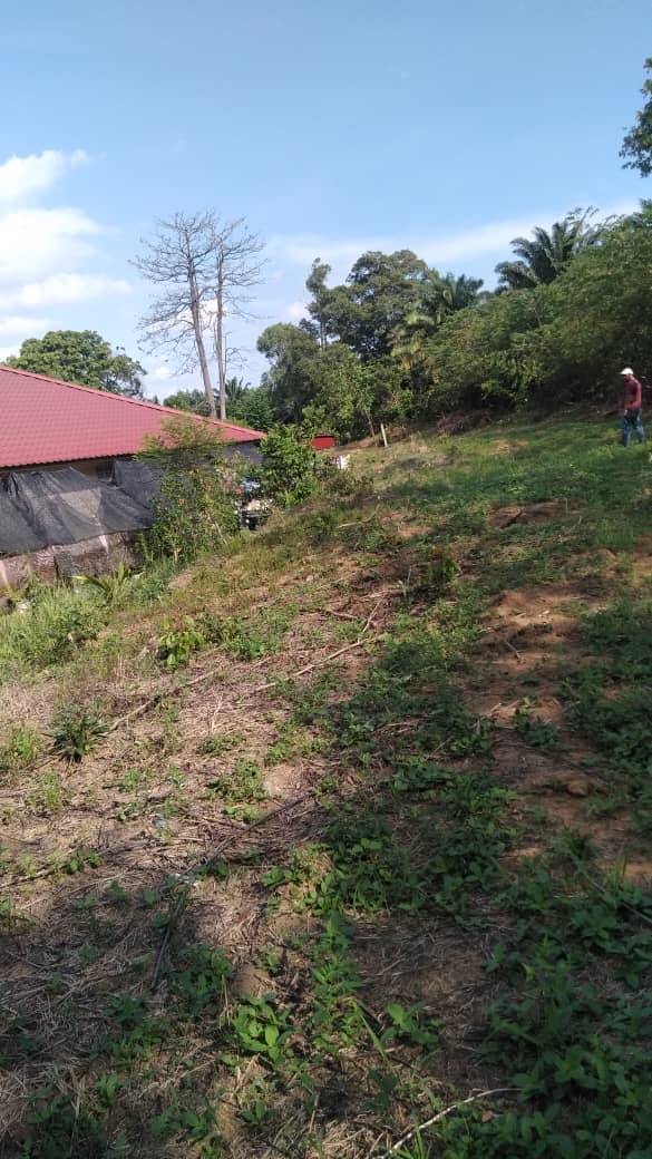 Below Market AgriculturalLand Bandar Enstek Sepang - photo 2