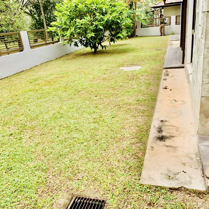 CHEAPEST 2 Storey House Corner Lestaria Denai Alam - photo 4