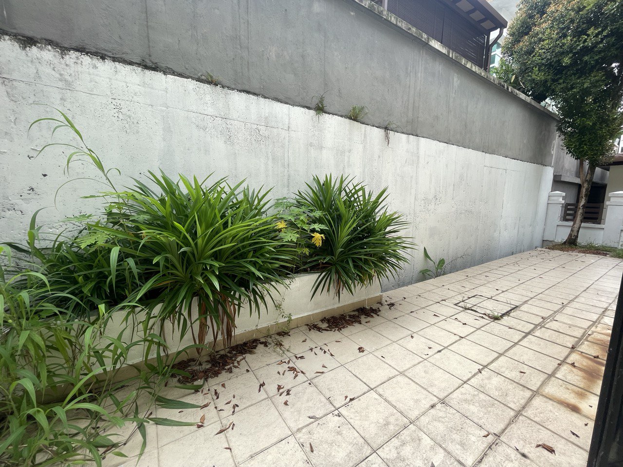 Semi D Jelutong Heights, Bukit Jelutong - photo 10