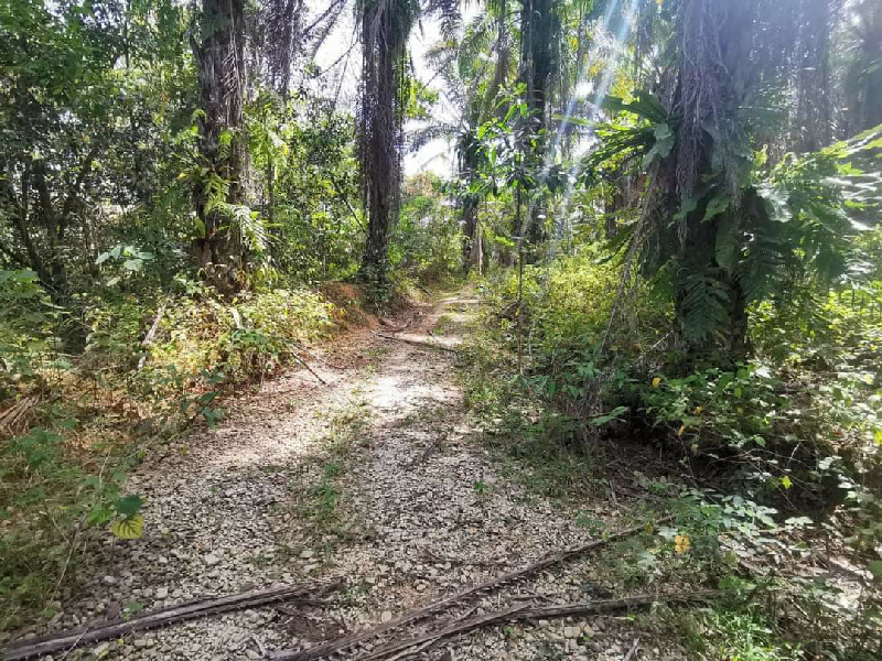 Tanah Untuk DiJual Di Kg Selarong, Pengkalan Hulu.  - photo 3