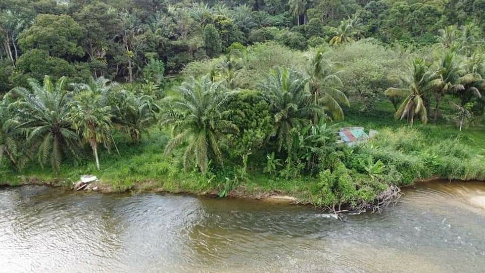 Tanah Tepi Sungai Untuk Di Jual Di Gopeng. - photo 3