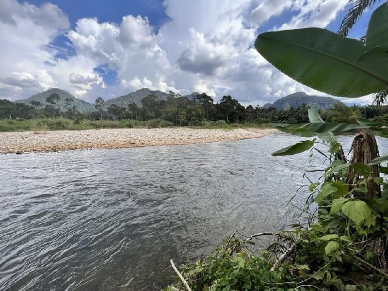 Tanah Tepi Sungai Untuk Di Jual Di Gopeng. - photo 4