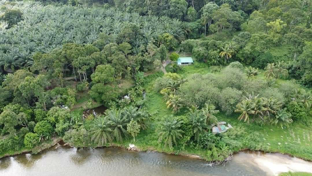 Tanah Tepi Sungai Untuk Di Jual Di Gopeng. - photo 7