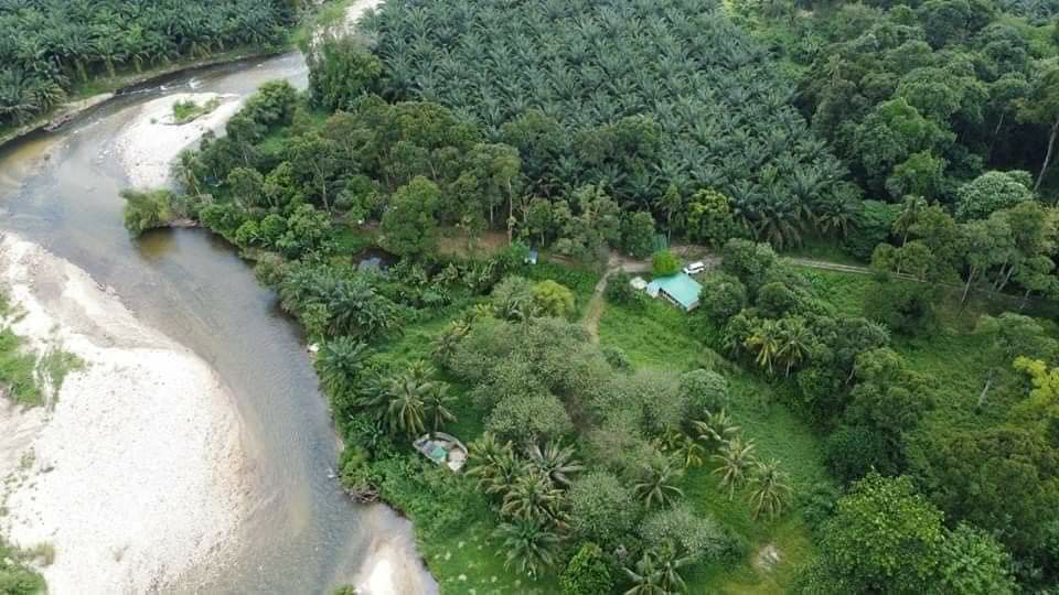 Tanah Tepi Sungai Untuk Di Jual Di Gopeng. - photo 8