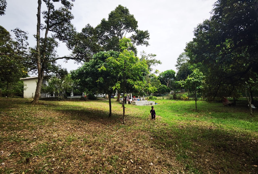 Tanah Kebun Rumah Rehat Moden Jalan Bukit Cerakah Kapar Klang - photo 2