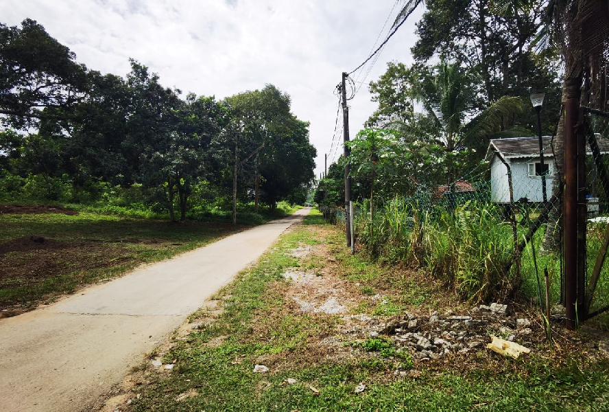 Tanah Kebun Rumah Rehat Moden Jalan Bukit Cerakah Kapar Klang - photo 4