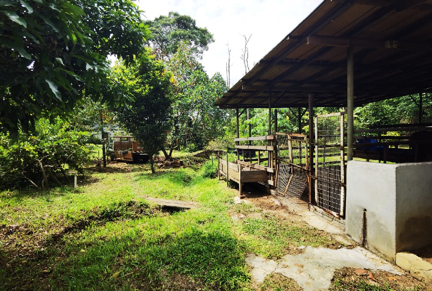 Tanah Kebun Rumah Rehat Moden Jalan Bukit Cerakah Kapar Klang - photo 5
