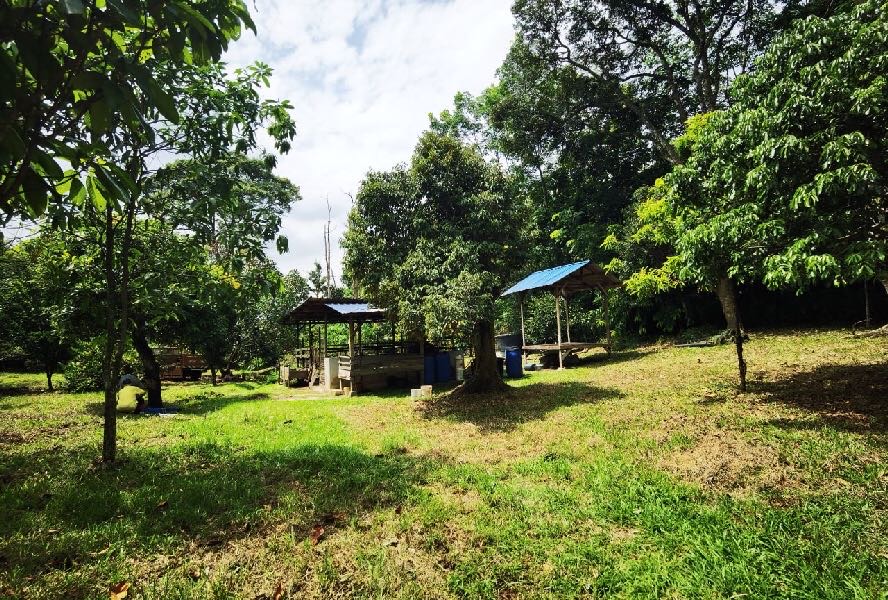 Tanah Kebun Rumah Rehat Moden Jalan Bukit Cerakah Kapar Klang - photo 7