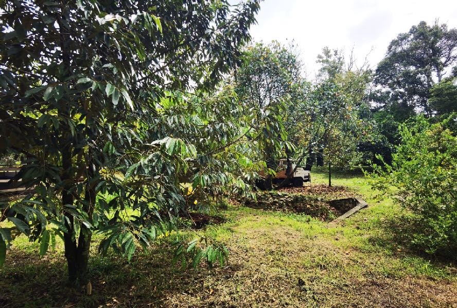 Tanah Kebun Rumah Rehat Moden Jalan Bukit Cerakah Kapar Klang - photo 8