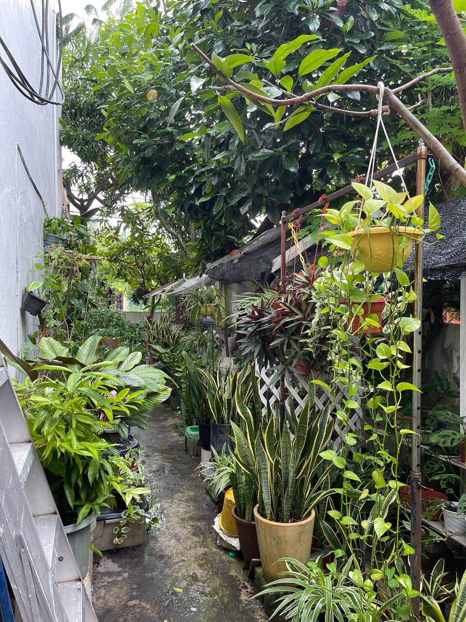 Endlot Taman Kajang Baru Sungai Jelok Kajang - photo 4