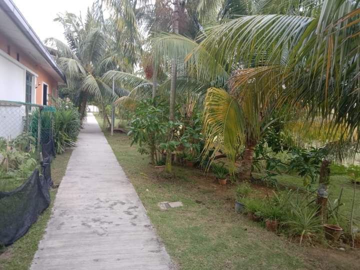 2 Storey Semi D Jalan Warisan Indah Kota Warisan - photo 10