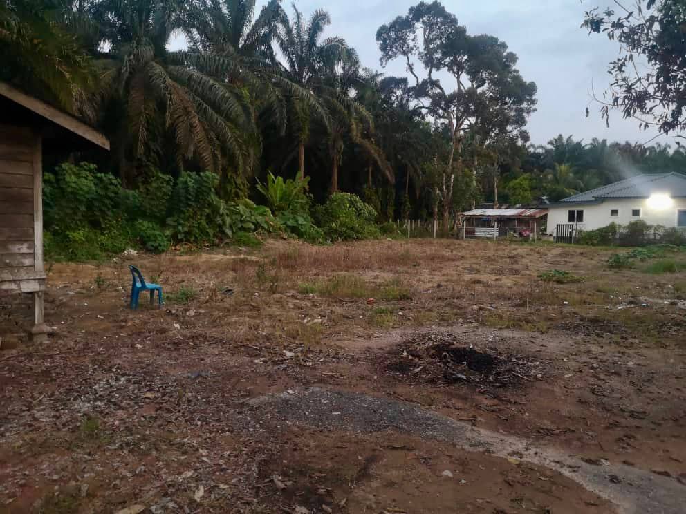 Tanah Lot Untuk Dijual Bukit Gantang Trong Taiping - photo 5
