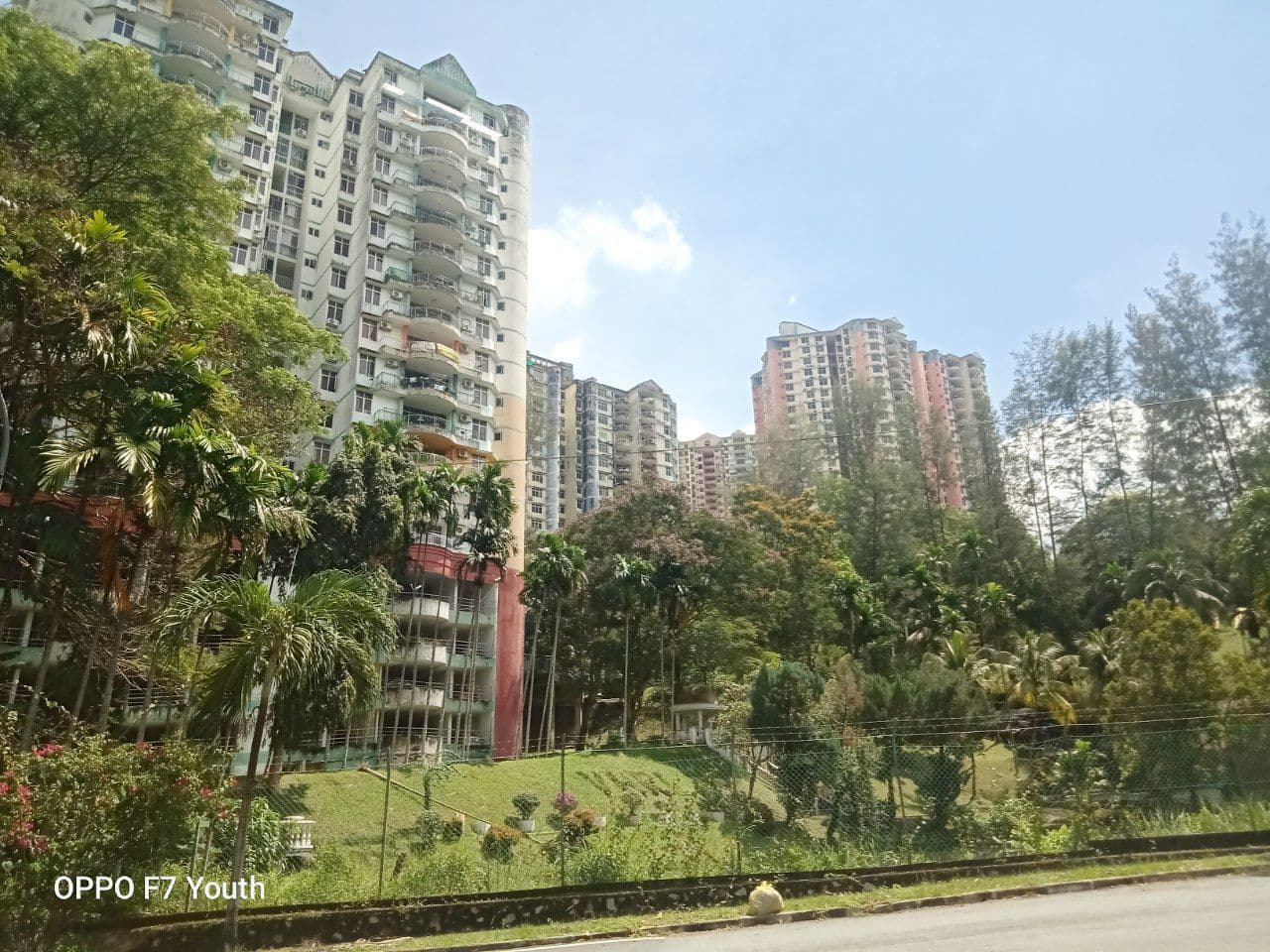Venice Hill Condominium - photo 5