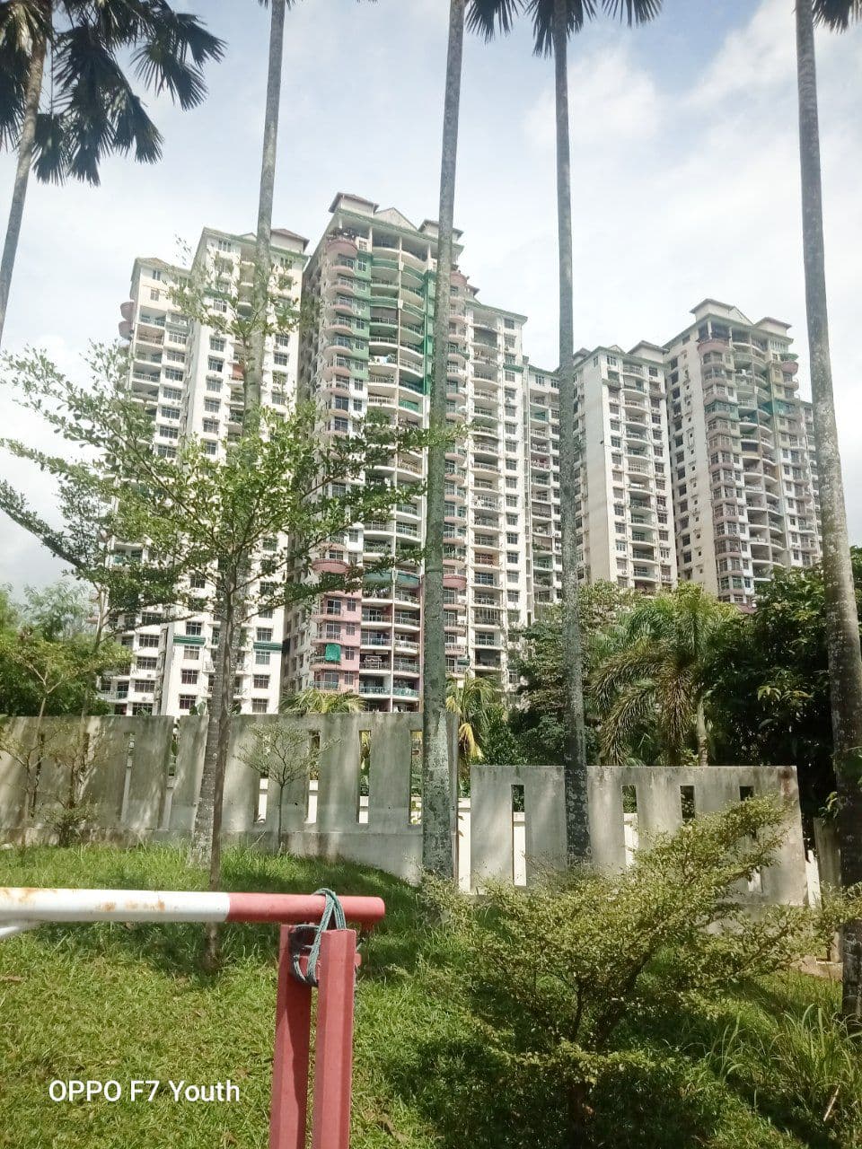 Venice Hill Condominium - photo 6