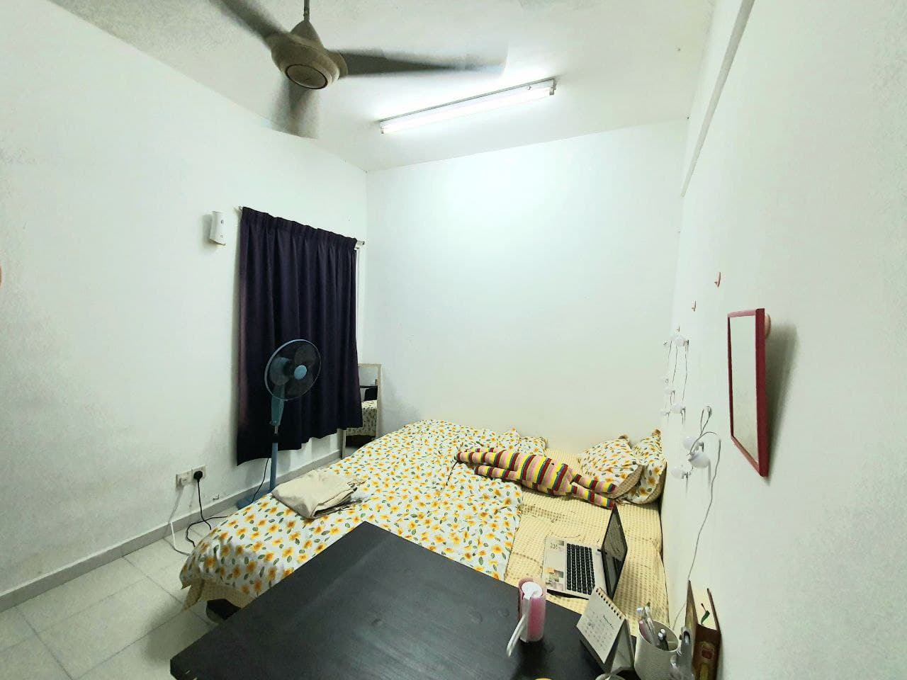 The Academia - photo 6
