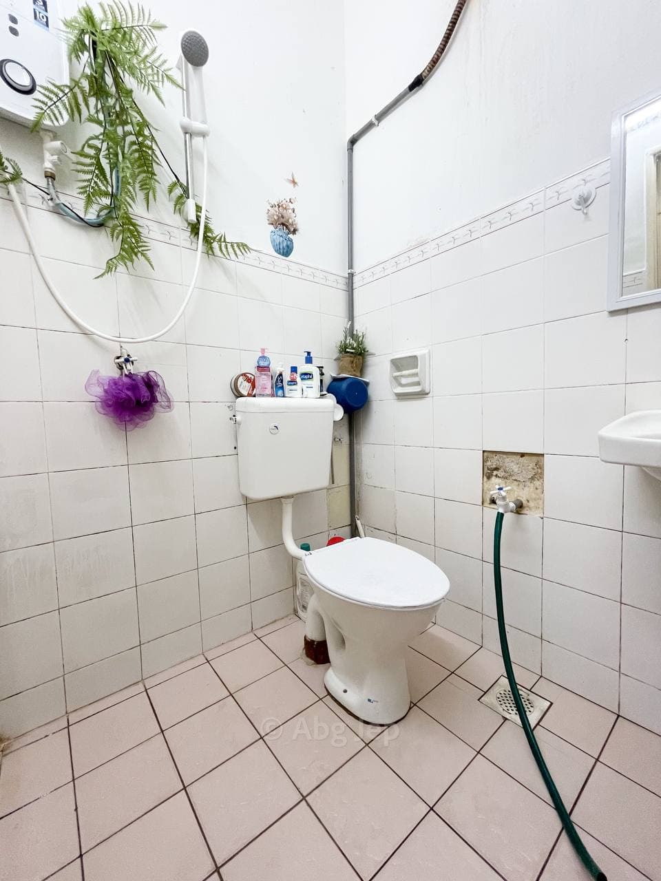 Single Storey Terrace Lorong Mahkota Impian - photo 5