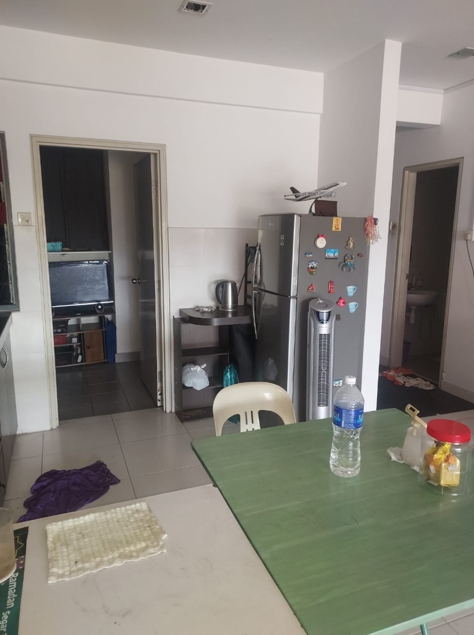 Setiawalk Freehold 1096sf 3room 2car Furnished  Fa - photo 3