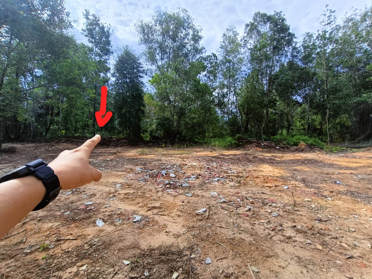 Bdr Tasik Kesuma Bun ...
