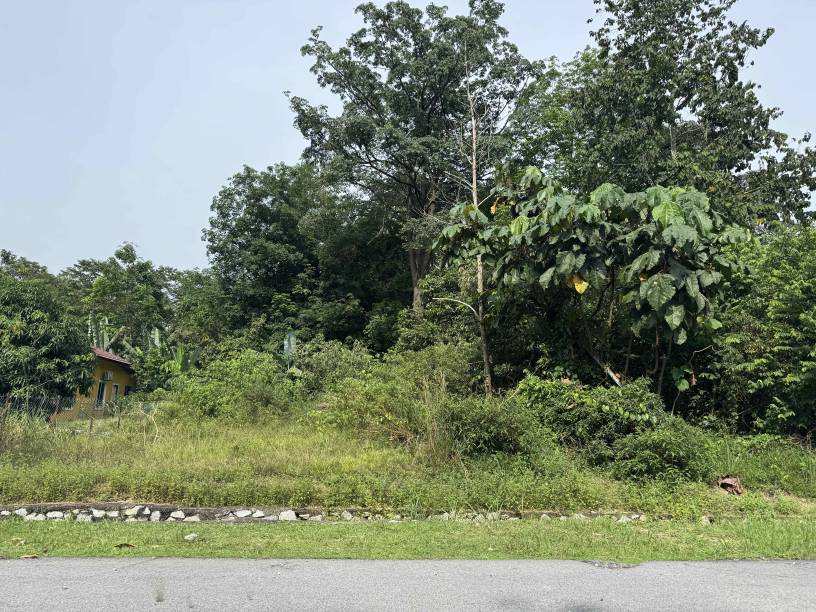 College Height Garden Resort Bungalow Land Freehol - photo 4