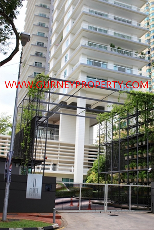 11 GURNEY - photo 2