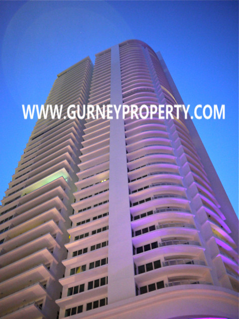 GURNEY PARAGON