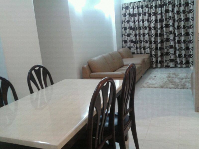 THE SPRING - photo 3