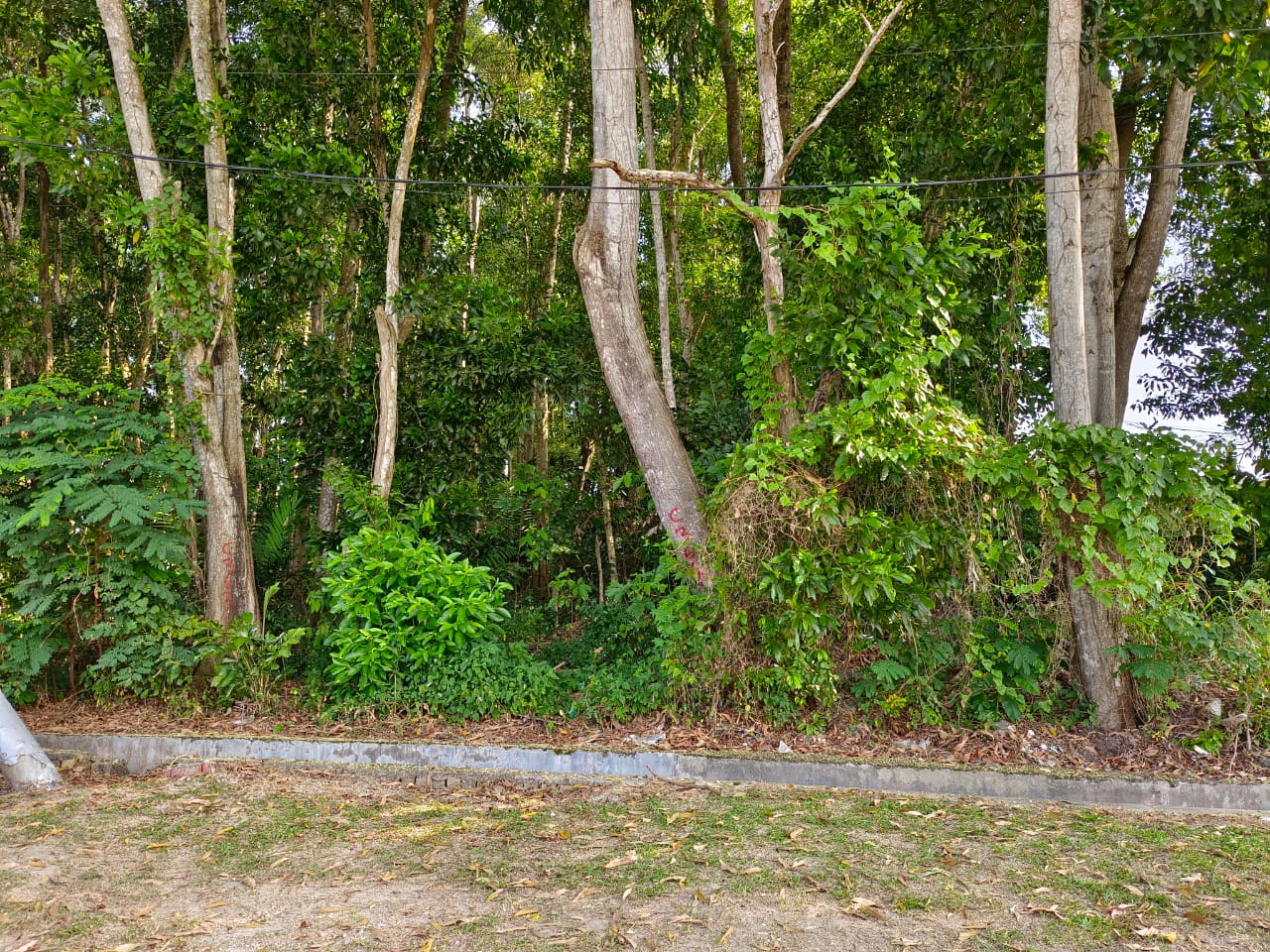 Bungalow land Taman Hadapan Baru Jalan Rasah
