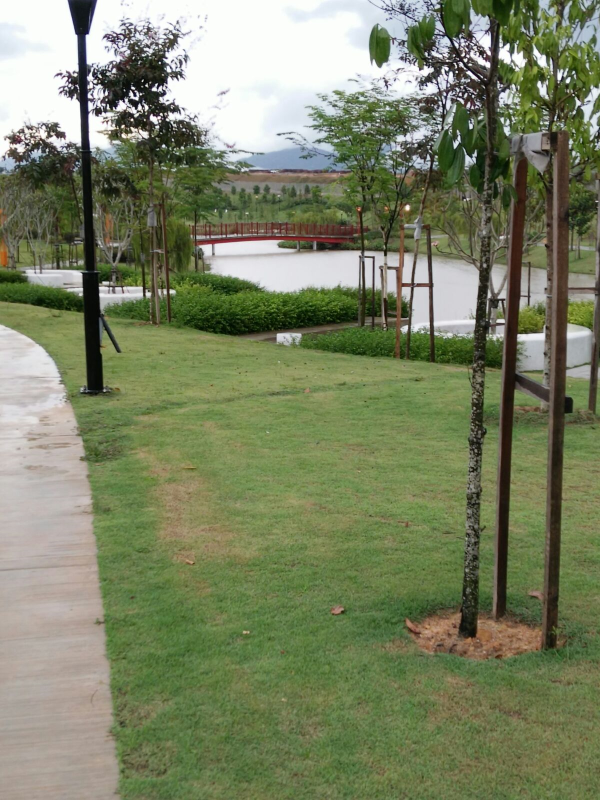Cluster Semi D Plavia 2 Setia Ecohill - photo 5