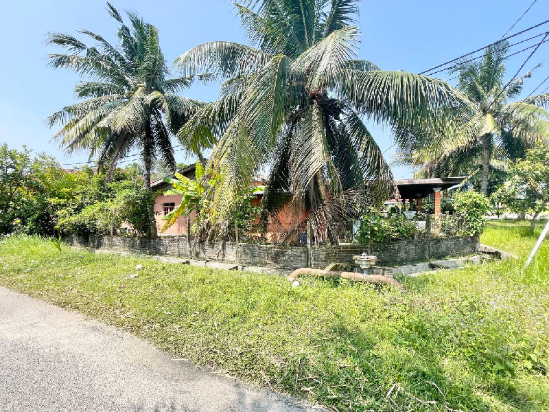 [Banglo Harga Murah Bukit Kuang] Banglo Setingkat Kg Pengkalan Cicar Bukit Kuang,Kemaman - photo 2